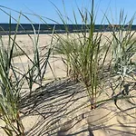 Sunset Z Klimatyzacja - Caloroczny Апартаменты *