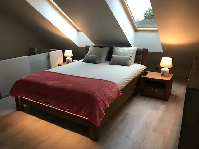 Sunset Z Klimatyzacja - Caloroczny *